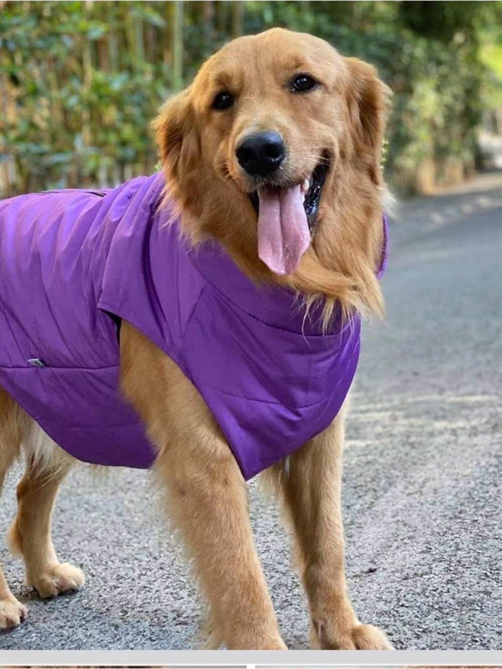 Lovelonglong Purple Insulated Dog Puffer Coat Lightweight Warmth Zipper XL